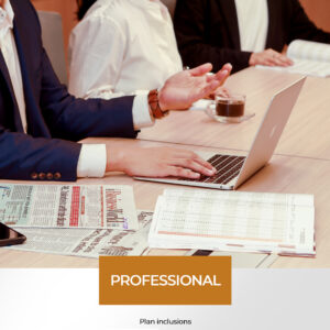 Professional